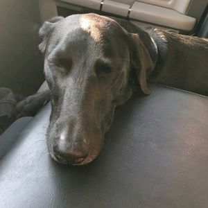 Meet your Posher, Paula